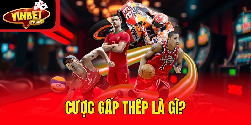 Cược gấp thếp là gì?